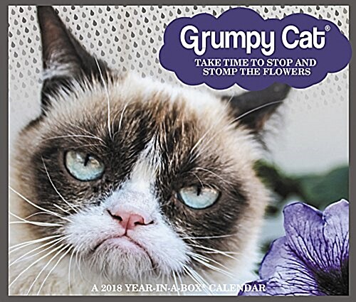 Grumpy Cat 2018 Calendar (Calendar, BOX, Page-A-Day )