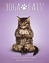 Yoga Cats Deck & Book Set (Hardcover)