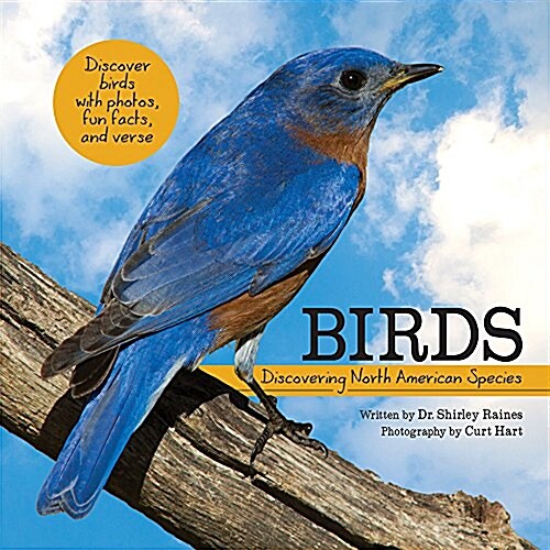 Birds: Discovering North American Species (Paperback)