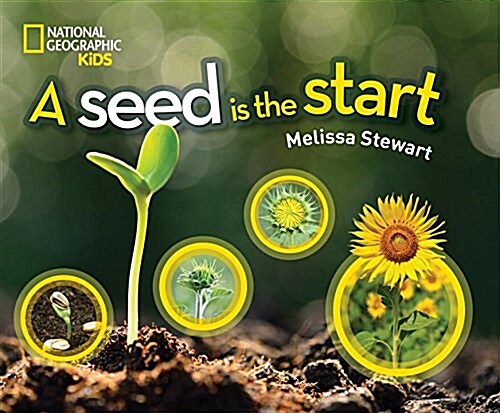 A Seed Is the Start (Hardcover)