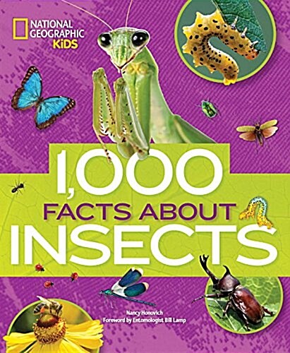 1,000 Facts About Insects (Hardcover)