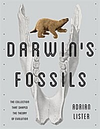 Darwins Fossils: The Collection That Shaped the Theory of Evolution (Paperback)
