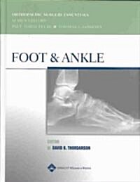 Foot and Ankle (Hardcover)