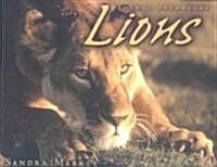 Lions (Paperback)