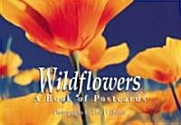 Wildflowers (Paperback)