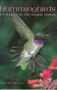 Hummingbirds (Hardcover)