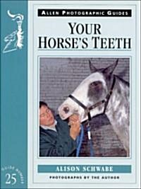 Your Horses Teeth (Paperback)