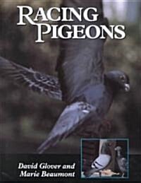 Racing Pigeons (Hardcover)