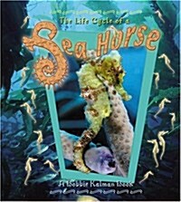 Sea Horse (Paperback)