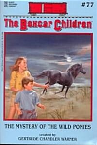 The Mystery of the Wild Ponies (Paperback)