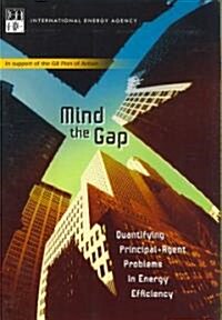 Mind the Gap (Paperback)