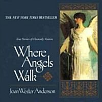 Where Angels Walk (Paperback)