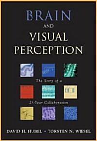 Brain and Visual Perception: The Story of a 25-Year Collaboration (Hardcover)