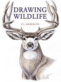 Drawing Wildlife (Paperback)