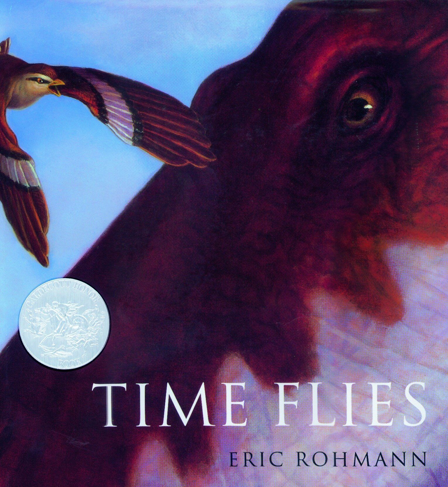 Time Flies (Hardcover)