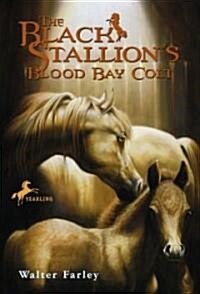 The Black Stallions Blood Bay Colt: (Reissue) (Paperback)