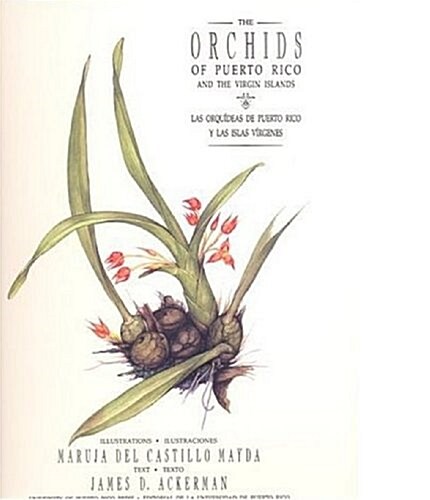 The Orchids of Puerto Rico and the Virgin Islands / Las Orquideas De Puerto Rico Y Las Islas Virgenes (Hardcover, 1st)