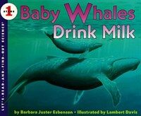 Baby whales drink milk 