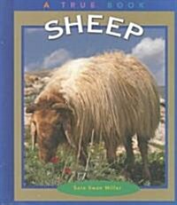 Sheep (Library)