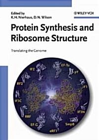 Protein Synthesis and Ribosome Structure (Hardcover)