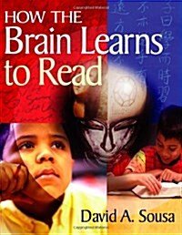 How the Brain Learns to Read (Paperback, New)