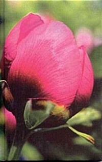 Tulip Blank Journal (Hardcover)