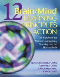 12 brain/mind learning principles in action : the fieldbook for making connections, teaching, and the human brain
