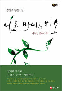 니르바나의 미소 :정찬주 장편소설 