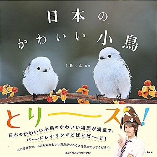 日本のかわいい小鳥 (單行本(ソフトカバ-))
