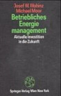 Betriebliches Energiemanagement: Aktuelle Investition in Die Zukunft (Hardcover)