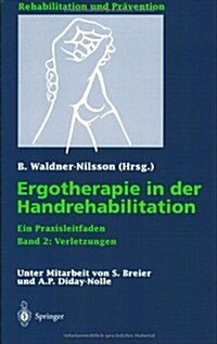 Ergotherapie Bei Erkrankungen Und Verletzungen Der Hand (Paperback)