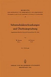 Sehnenscheidenerkrankungen Und ?erbeanspruchung: Ergebnisbericht ?er Den Auftrag Des Bundesministers F? Arbeit (Paperback)