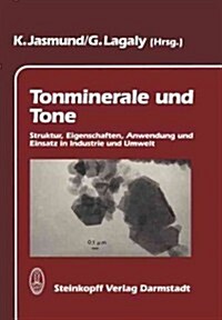 Tonminerale Und Tone: Struktur, Eigenschaften, Anwendungen Und Einsatz in Industrie Und Umwelt (Paperback)