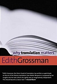 Why Translation Matters (Paperback)