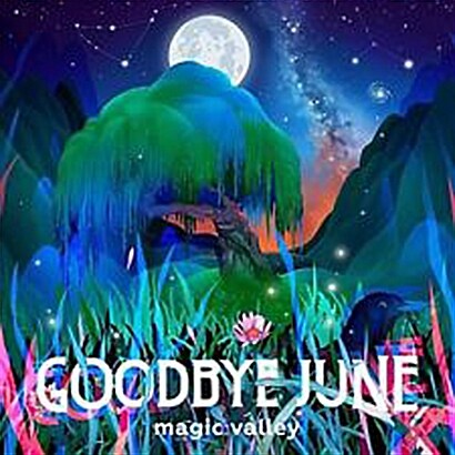 [수입] Goodbye June - Magic Valley