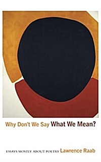 Why Dont We Say What We Mean?: Essays Mostly about Poetry (Paperback)