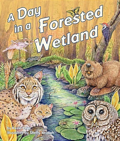 A Day in a Forested Wetland (Hardcover)