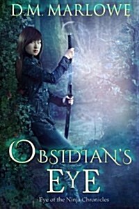 Obsidians Eye (Paperback)