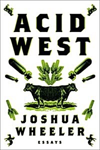 Acid West: Essays (Paperback)