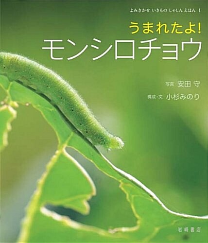 うまれたよ!　モンシロチョウ (よみきかせいきものしゃしんえほん1) (單行本)