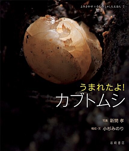 うまれたよ!　カブトムシ (よみきかせいきものしゃしんえほん7) (單行本)