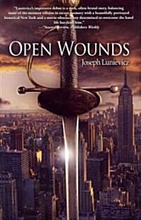 Open Wounds (Hardcover)