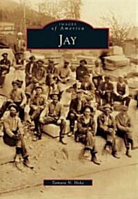Jay (Paperback)
