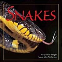 Snakes (Hardcover)