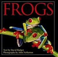 Frogs (Hardcover)