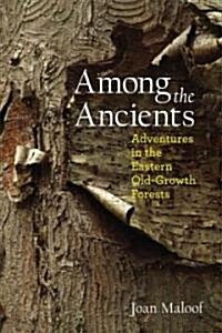 Among the Ancients: Adventures in the Eastern Old-Growth Forests (Paperback)