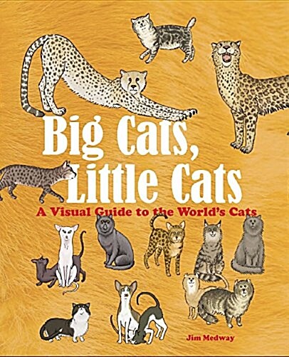 Big Cats, Little Cats : A Visual Guide to the World’s Cats (Hardcover)