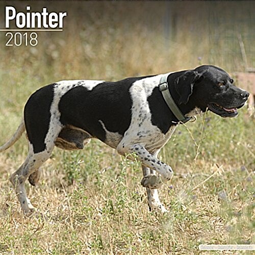 Pointer Calendar 2018 (Paperback)