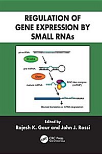 Regulation of Gene Expression by Small RNAs (Paperback)