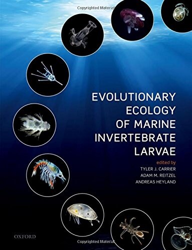 Evolutionary Ecology of Marine Invertebrate Larvae (Hardcover)